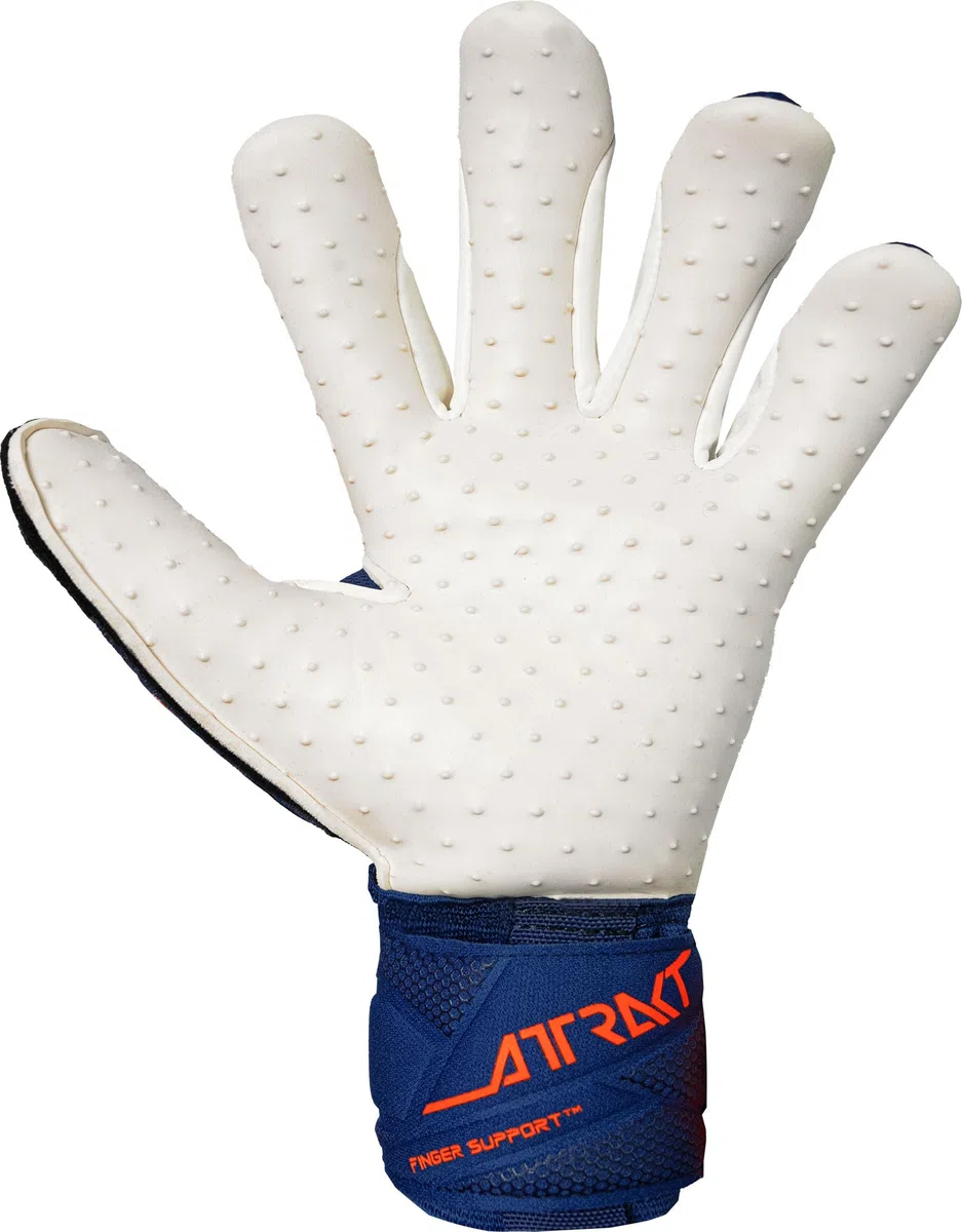 Reusch Profi Torwarthandschuhe Erwachsene | Fingerschutz | starker Grip